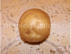 Сорт картофеля Фреско
