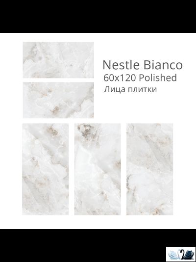 Керамогранит Staro Palacio Nestle Bianco 60х120 см глянцевый
