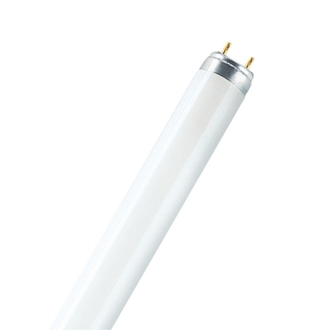 Лампа люминесцентная OSRAM LUMILUX L 18W/865 (25шт/уп)