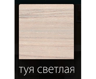 туя светлая