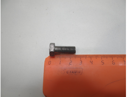 Болт М 8 (для мопедов Рига)