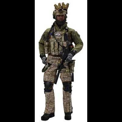 Штурмовик группы Сил специальных операций США - КОЛЛЕКЦИОННАЯ ФИГУРКА 1/6 scale Special Mission Unit Part X Frozen Night Assault (26030C) - Easy&amp;Simple