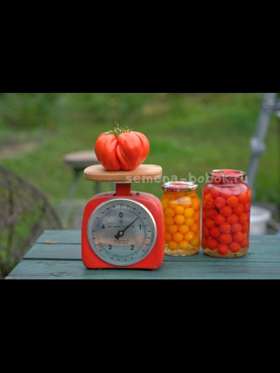 Томат Rim (Рим), 10 шт