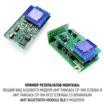 Встраиваемый модуль AMT Bluetooth Module BLE-1 для Pangaea