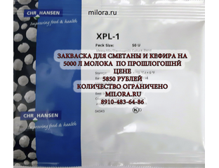 Закваска для густой сметаны с ароматообразованием XPL-1 | С доставкой ...
