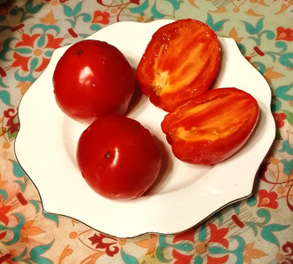 Семена томата Угощение Глории Гном/ *нов 2025