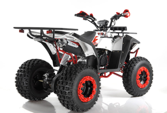 Квадроцикл WELS ATV EVO X2