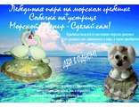 ТВОРЧЕСТВО. Наборы для творчества - &quot;Сделай Сам!&quot;