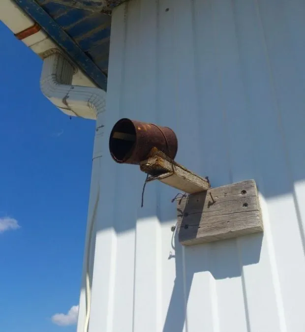 Ну, из далека вроде похожа. А вы как думаете?