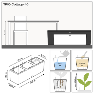 TRIO Cottage 40
