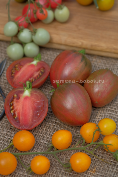 Томат Dwarf Grail (Гном Грааль), 10 шт