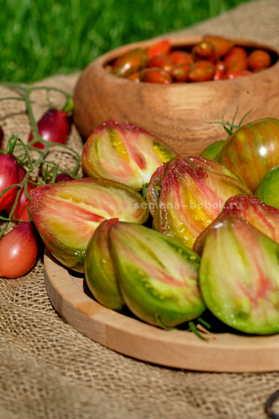 Томат Малахитовый Эльф, 10 шт