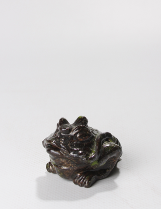 Денежная Трехлапая Жаба 4