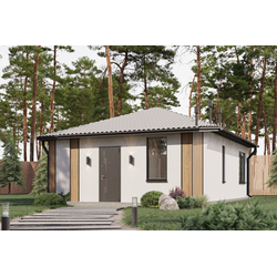 Одноэтажный дом с двумя спальнями 60.31 м² (S38)