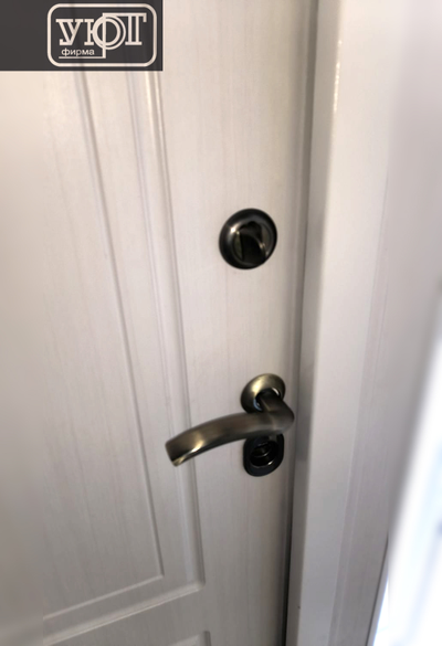 №37. входная дверь с фрамугами.