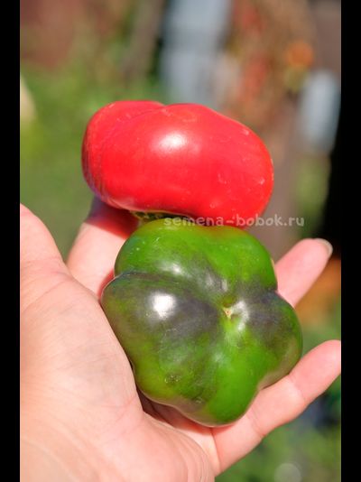 Перец сладкий Гогошар Советский, 10 шт