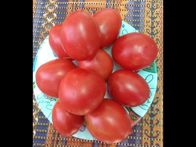 Томат Сызранская пипочка (условное)