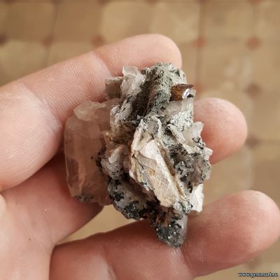 Сфен (титанит) с кальцитом и хлоритом на хлорит-серицитовом сланце. 54*43*30мм.