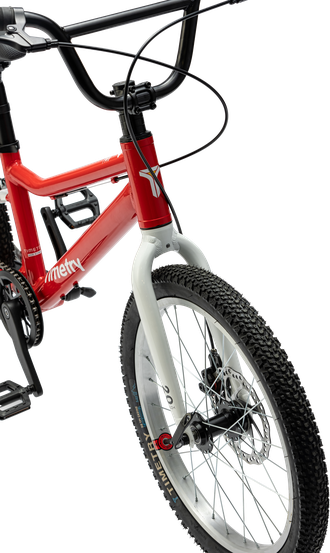 Велосипед TT231/ 1ск 20" фиолетовый рама 12"