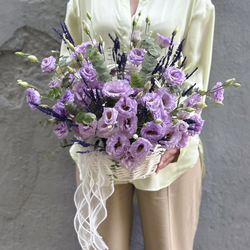 Прованс в сердце