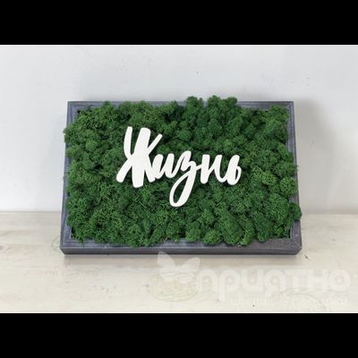 ЖИВАЯ ЭКО-КАРТИНА 1054