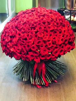 501 Роза Ред Наоми 80см