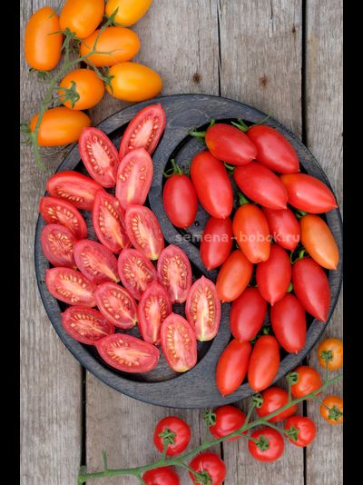 Томат Килечки, 10 шт