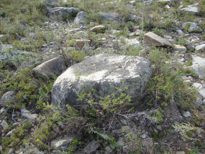 Речной валун