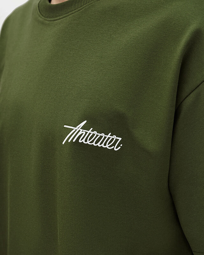 Футболка Оверсайз Anteater Phat 498 Хаки