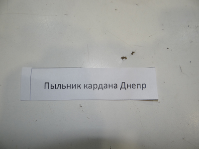Пыльник кардана Днепр