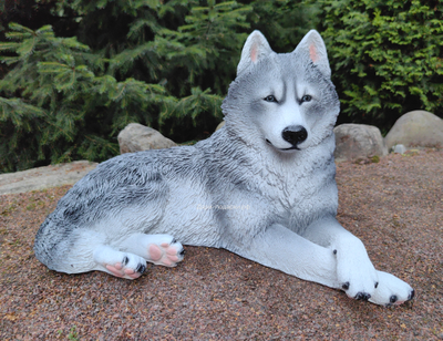 Хаски - садовая фигура 65*44см  6кг   экологичный полистоун Россия  5278/012308 Не боится влаги и перепадов температур.