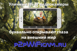 Профессиональные IP Wi-Fi видеокамеры для улицы на p2pWiFicam.ru