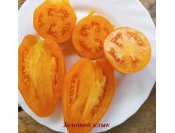 Томат Золотой клык