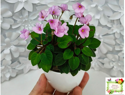 Frosted Fantasy (C.Sotkiewicz) трейлер (детка)