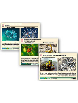 Комплект таблиц раздаточных "Ядовитые животные"