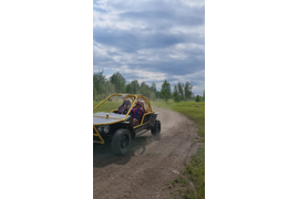 Багги с МКП