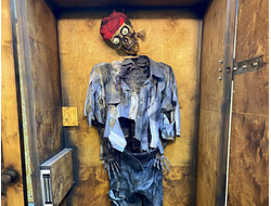 Cabinet with skeleton