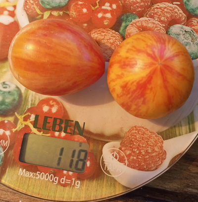 Томат Кровоточащее сердце (Bleeding Heart)