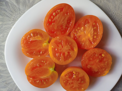 Томат Полтавская галушка