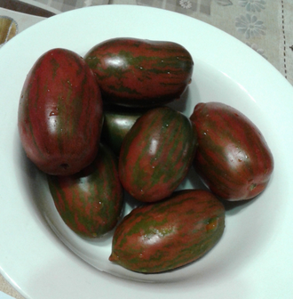 Семена томата Любовь Одри Гном