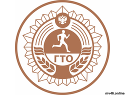 ТАБЛИЧКА ГТО -БРОНЗА   300х300мм (вид-2)