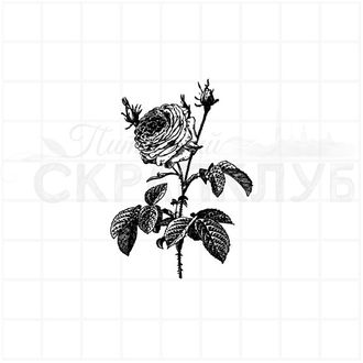 Винтажный штамп роза с бутонами