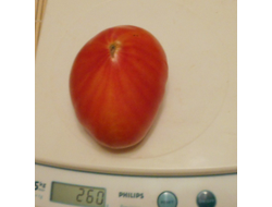 Томат Канада (Канадское наследие полосатый)