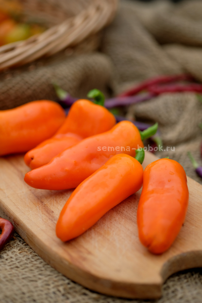 Перец сладкий Апельсин, 10 шт