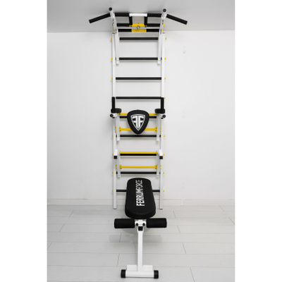 Шведская стенка Ferrum Force FR5 купить в Воронеже