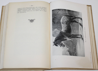 Крюков Н.А. Славянские земли. Том 1: Юго - западный район.  Пг.: Тип. В.Ф.Киршбаума, 1914.