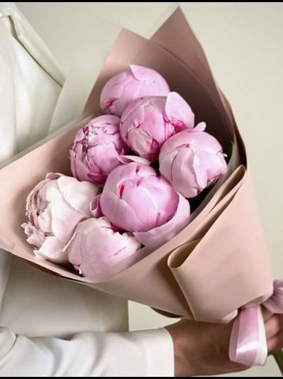 7 розовых пионов (цвет на выбор)