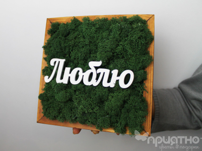 ЖИВАЯ ЭКО-КАРТИНА 1060