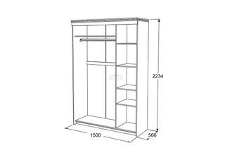 Шкаф-купе Ольга 13