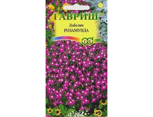 Однолетники - Лобелия Розамунда Гавриш